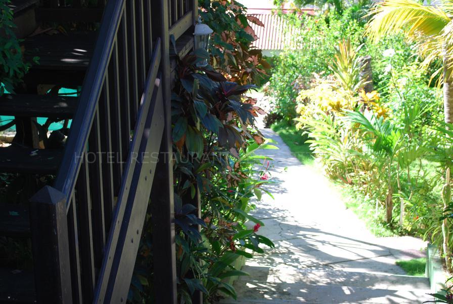 pts-hotel-vue-allee-haut